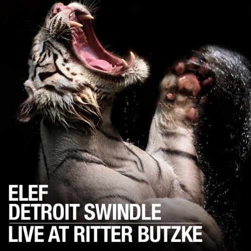 Elef Detroit Swindle