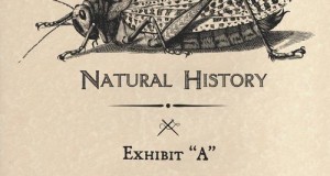 [New Release] Anthony Collins – Exhibit ‘A’ (Natural History)