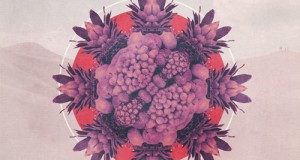 Cozzy D – Opal Fruits EP (Akbal Music)