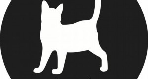 Tom Demac – Little Bits That Matter (Pets Recordings)