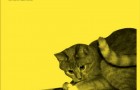 No Artificial Colours – Cat and Mouse EP (Feast Records)