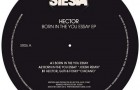 Hector – Born in the You Essay (Siesta Records)