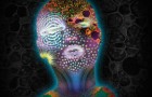 David Scuba & Dance Spirit – The Wi_th (Superfreq)